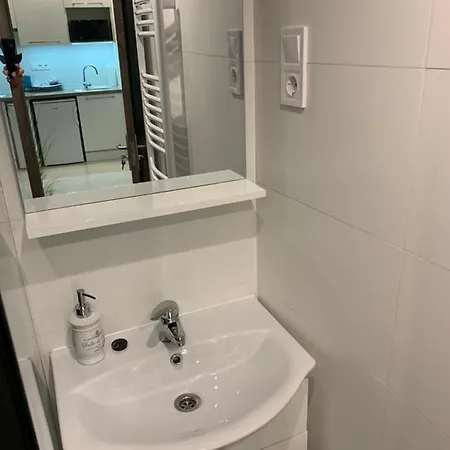 Cool Cat 부다페스트