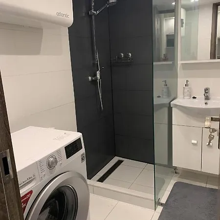 Cool Cat Apartment