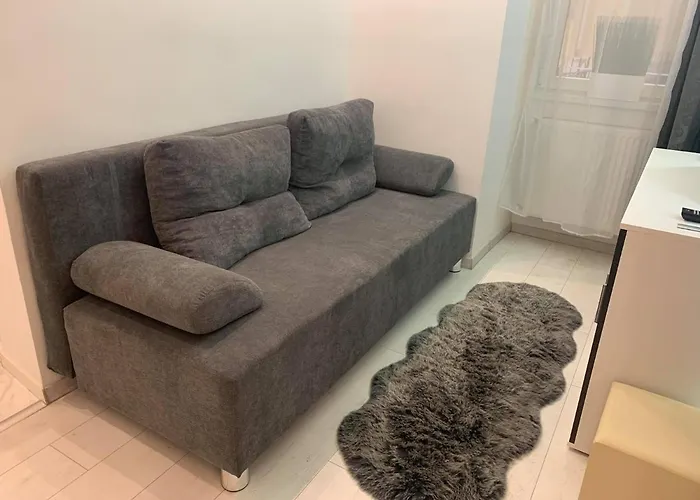 Cool Cat * Budapeşte