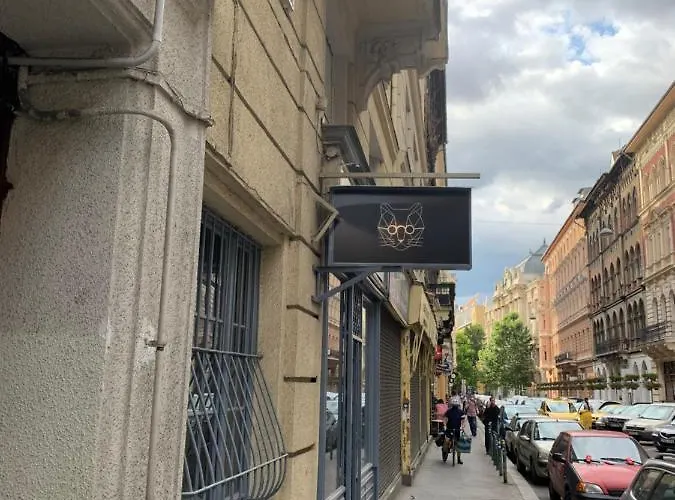 Cool Cat Daire Budapeşte