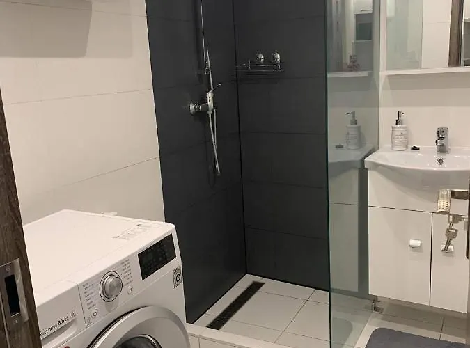 Cool Cat Apartament